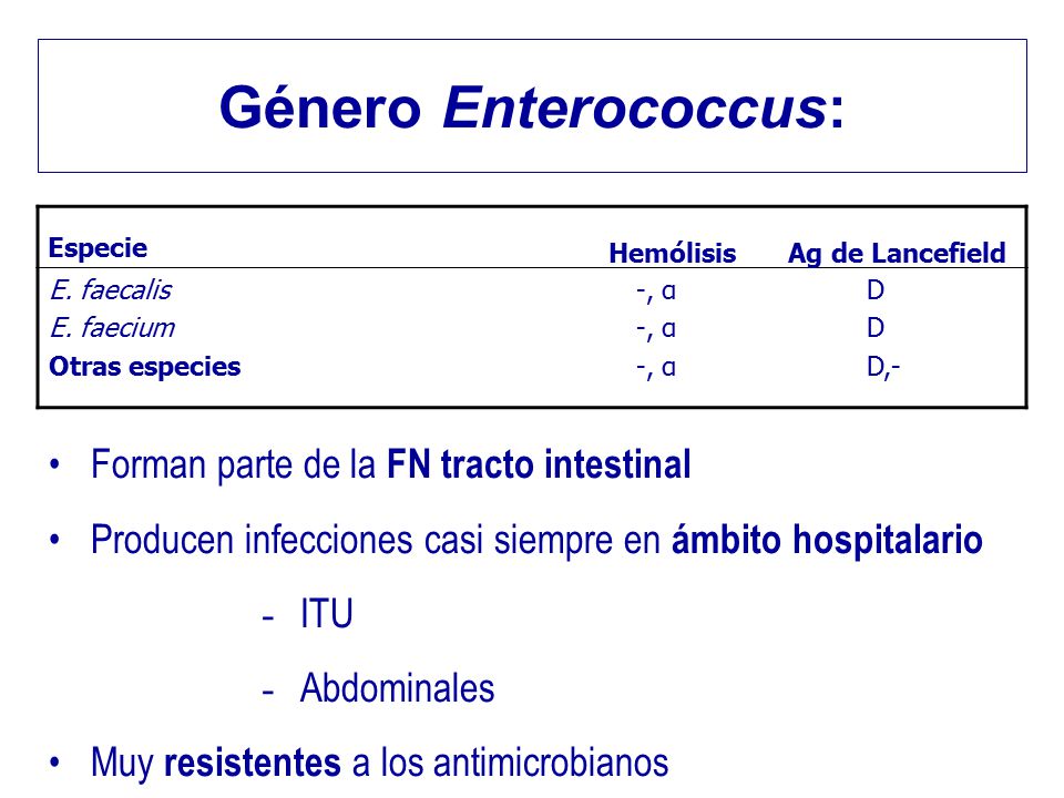 Género Enterococcus: Forman parte de la FN tracto intestinal