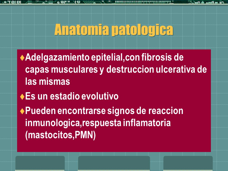 Anatomia patologica Adelgazamiento epitelial,con fibrosis de capas musculares y destruccion ulcerativa de las mismas.
