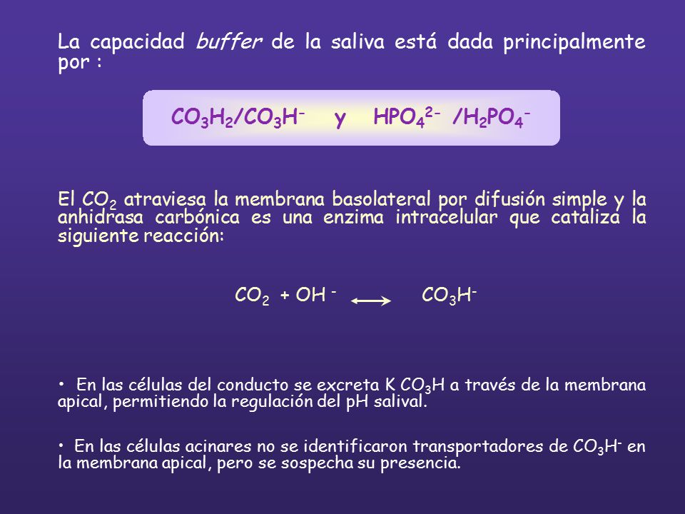 La capacidad buffer de la saliva está dada principalmente por :