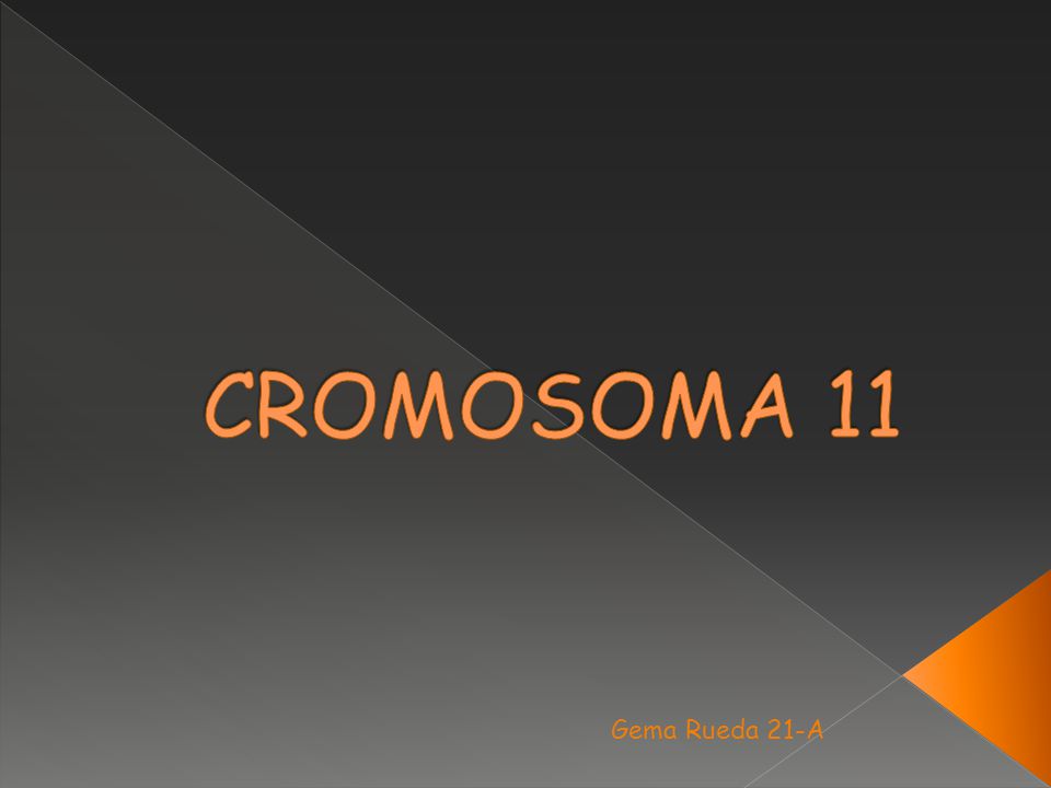 CROMOSOMA 11 Gema Rueda 21-A
