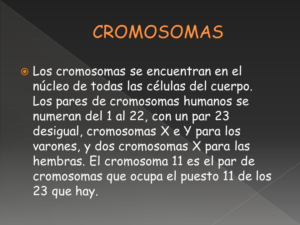 CROMOSOMAS