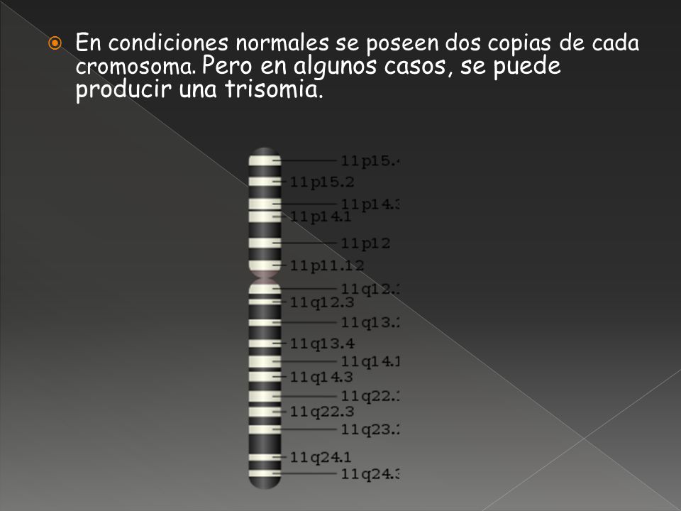 En condiciones normales se poseen dos copias de cada cromosoma