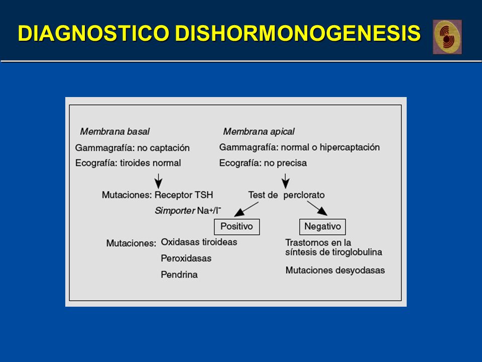 DIAGNOSTICO DISHORMONOGENESIS