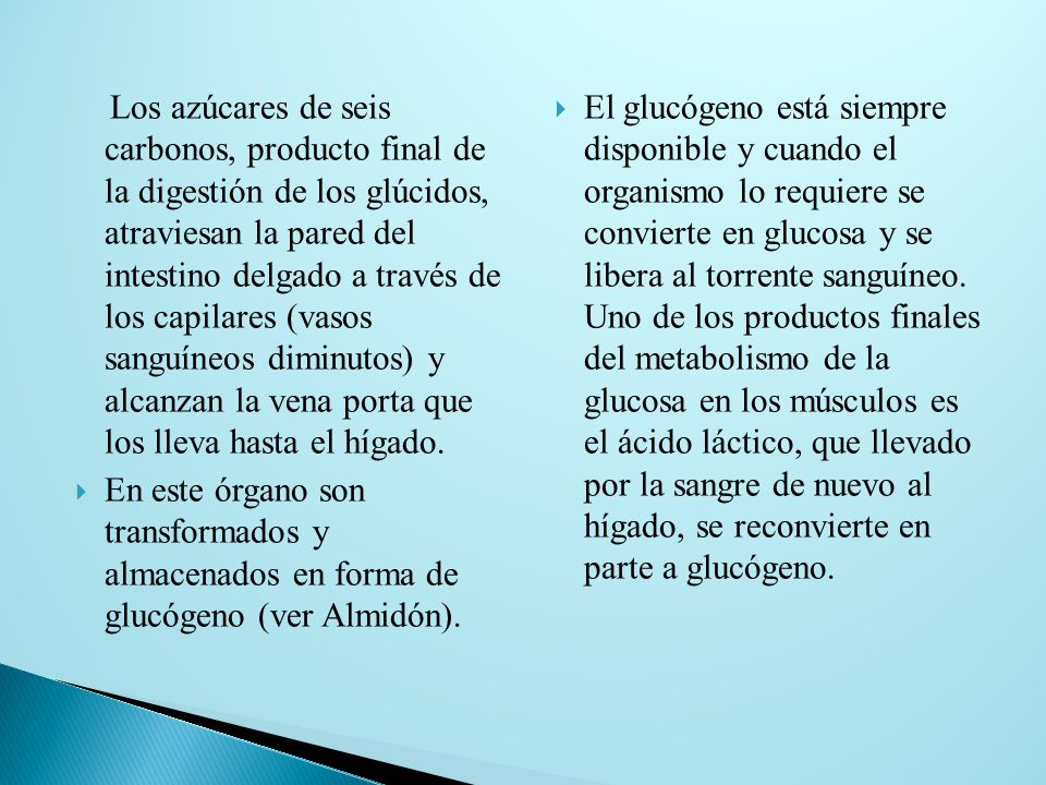 Los azúcares de seis carbonos, producto final de la digestión de los glúcidos, atraviesan la pared del intestino delgado a través de los capilares (vasos sanguíneos diminutos) y alcanzan la vena porta que los lleva hasta el hígado.