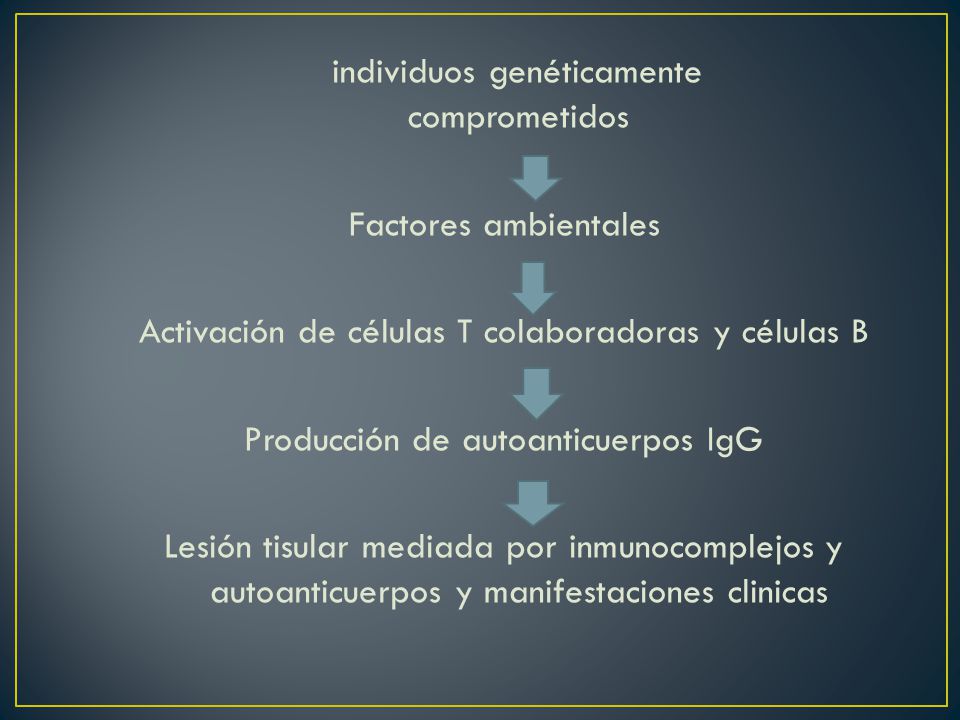 Activación de células T colaboradoras y células B