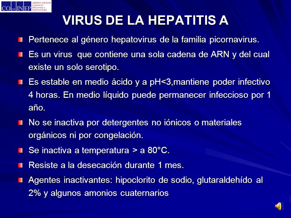 VIRUS DE LA HEPATITIS A Pertenece al género hepatovirus de la familia picornavirus.
