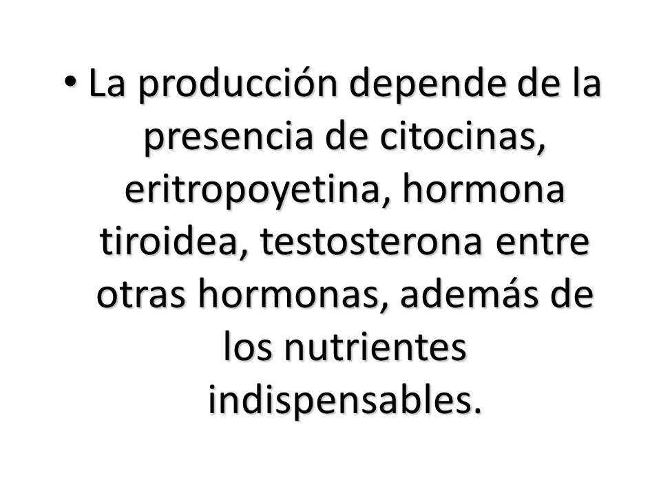 La producción depende de la presencia de citocinas, eritropoyetina, hormona tiroidea, testosterona entre otras hormonas, además de los nutrientes indispensables.