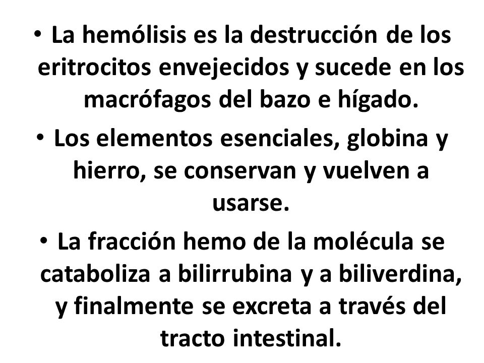 La hemólisis es la destrucción de los eritrocitos envejecidos y sucede en los macrófagos del bazo e hígado.