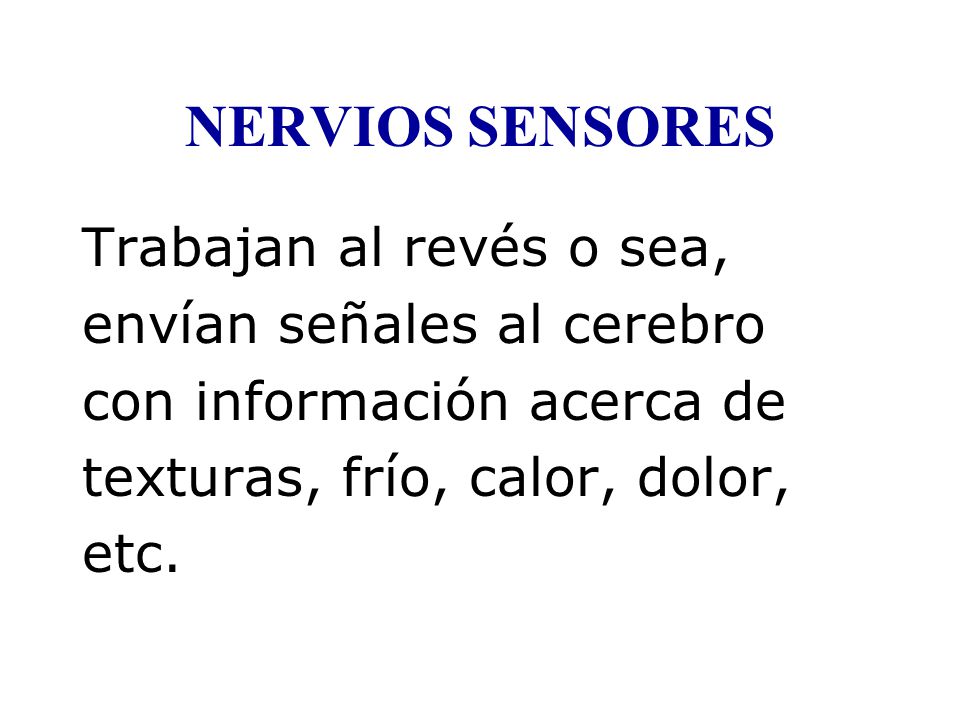 NERVIOS SENSORES Trabajan al revés o sea, envían señales al cerebro