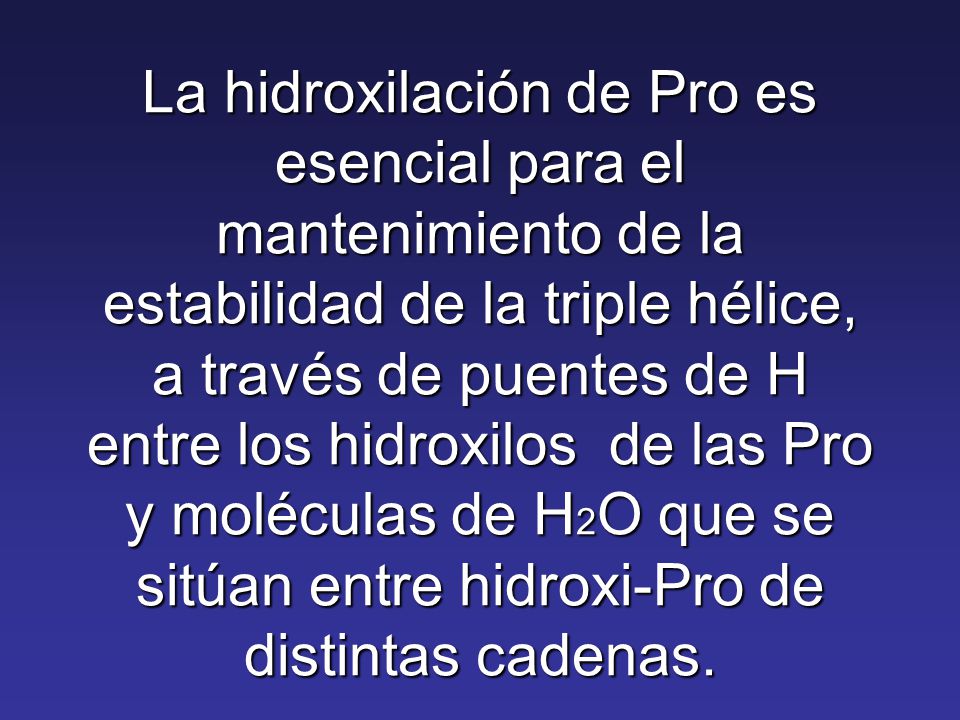 La hidroxilación de Pro es esencial para el mantenimiento de la estabilidad de la triple hélice, a través de puentes de H entre los hidroxilos de las Pro y moléculas de H2O que se sitúan entre hidroxi-Pro de distintas cadenas.