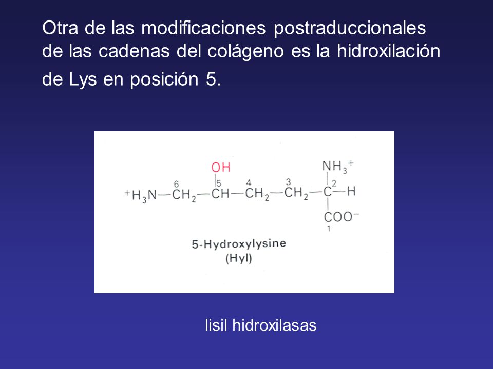 Otra de las modificaciones postraduccionales de las cadenas del colágeno es la hidroxilación de Lys en posición 5.