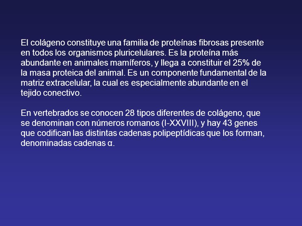 El colágeno constituye una familia de proteínas fibrosas presente en todos los organismos pluricelulares. Es la proteína más abundante en animales mamíferos, y llega a constituir el 25% de la masa proteica del animal. Es un componente fundamental de la matriz extracelular, la cual es especialmente abundante en el tejido conectivo.
