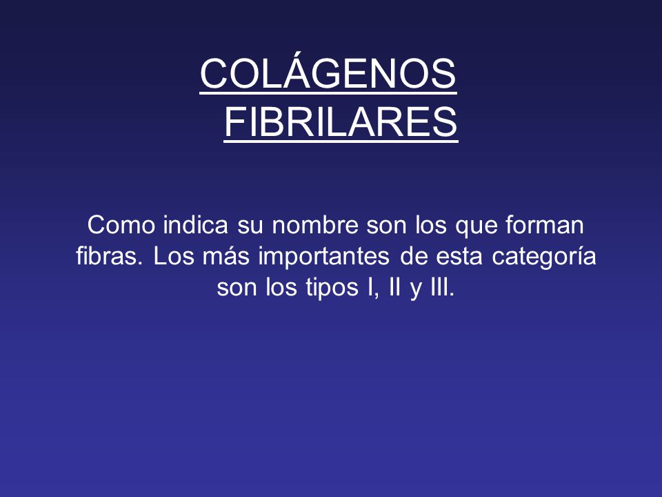 COLÁGENOS FIBRILARES Como indica su nombre son los que forman fibras.