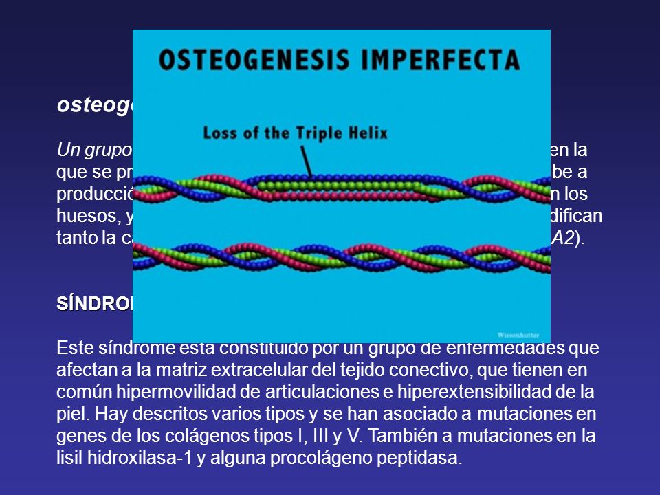 ENFERMEDADES DEL COLÁGENO I osteogénesis imperfecta, Un grupo de patologías genéticas autosómicas dominantes, en la que se produce fragilidad ósea con roturas frecuentes. Se debe a producción de colágeno alterado o en cantidad insuficiente en los huesos, y está causada por mutaciones de los genes que codifican tanto la cadena a1(I) (COL1A1) como la cadena a2(I) (COL1A2).