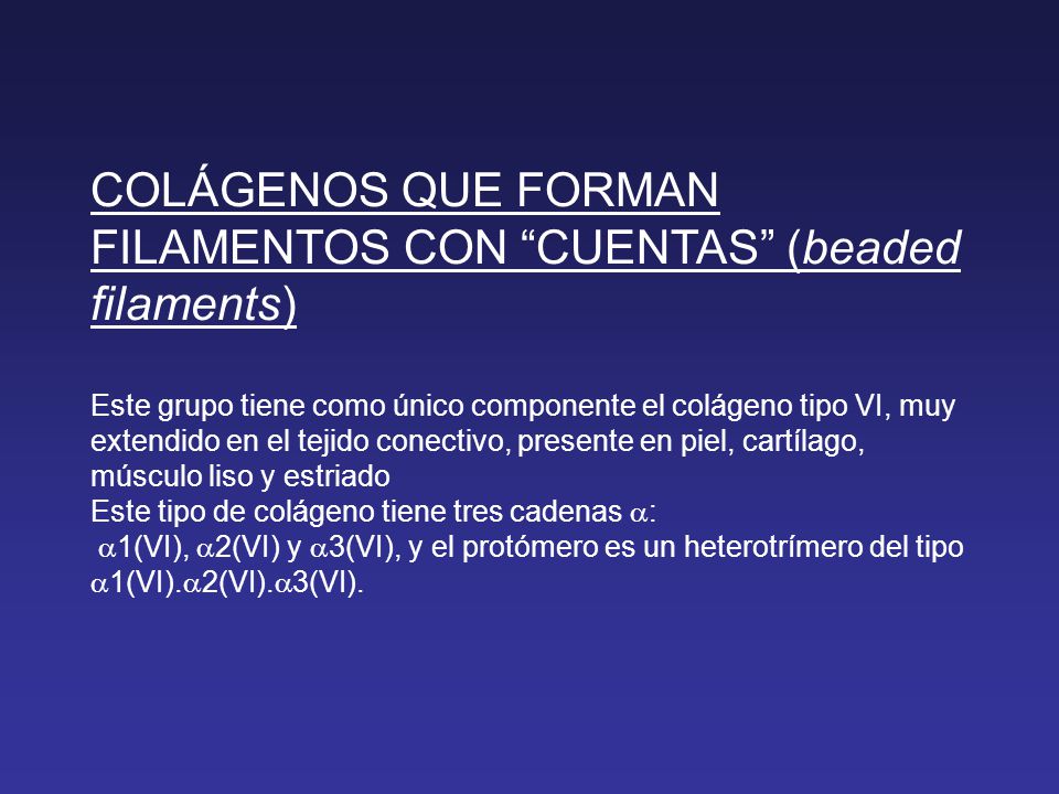COLÁGENOS QUE FORMAN FILAMENTOS CON CUENTAS (beaded filaments) Este grupo tiene como único componente el colágeno tipo VI, muy extendido en el tejido conectivo, presente en piel, cartílago, músculo liso y estriado Este tipo de colágeno tiene tres cadenas a: a1(VI), a2(VI) y a3(VI), y el protómero es un heterotrímero del tipo a1(VI).a2(VI).a3(VI).