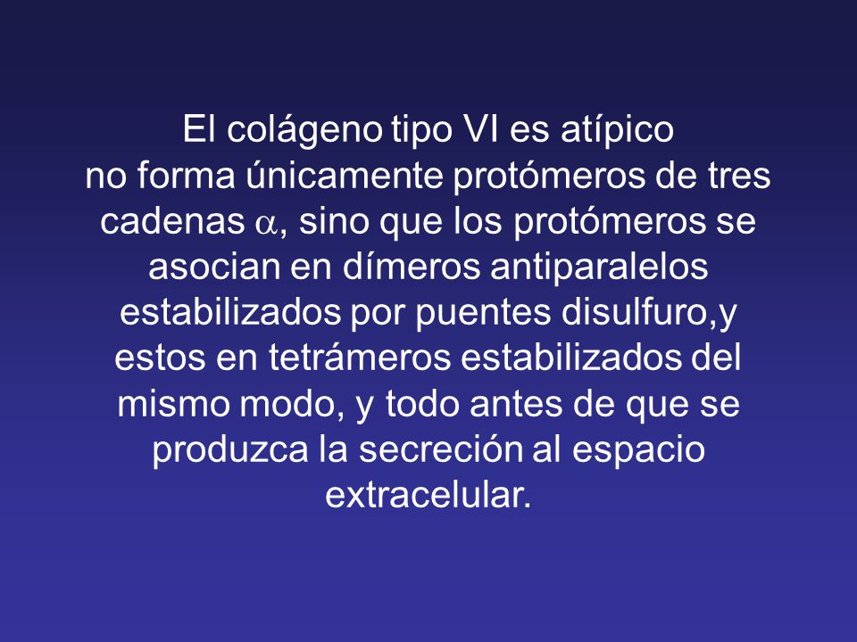 El colágeno tipo VI es atípico no forma únicamente protómeros de tres cadenas a, sino que los protómeros se asocian en dímeros antiparalelos estabilizados por puentes disulfuro,y estos en tetrámeros estabilizados del mismo modo, y todo antes de que se produzca la secreción al espacio extracelular.