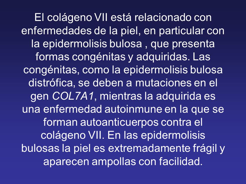 El colágeno VII está relacionado con enfermedades de la piel, en particular con la epidermolisis bulosa , que presenta formas congénitas y adquiridas.