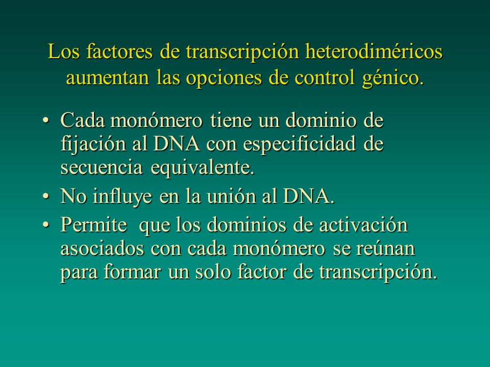 Los factores de transcripción heterodiméricos aumentan las opciones de control génico.