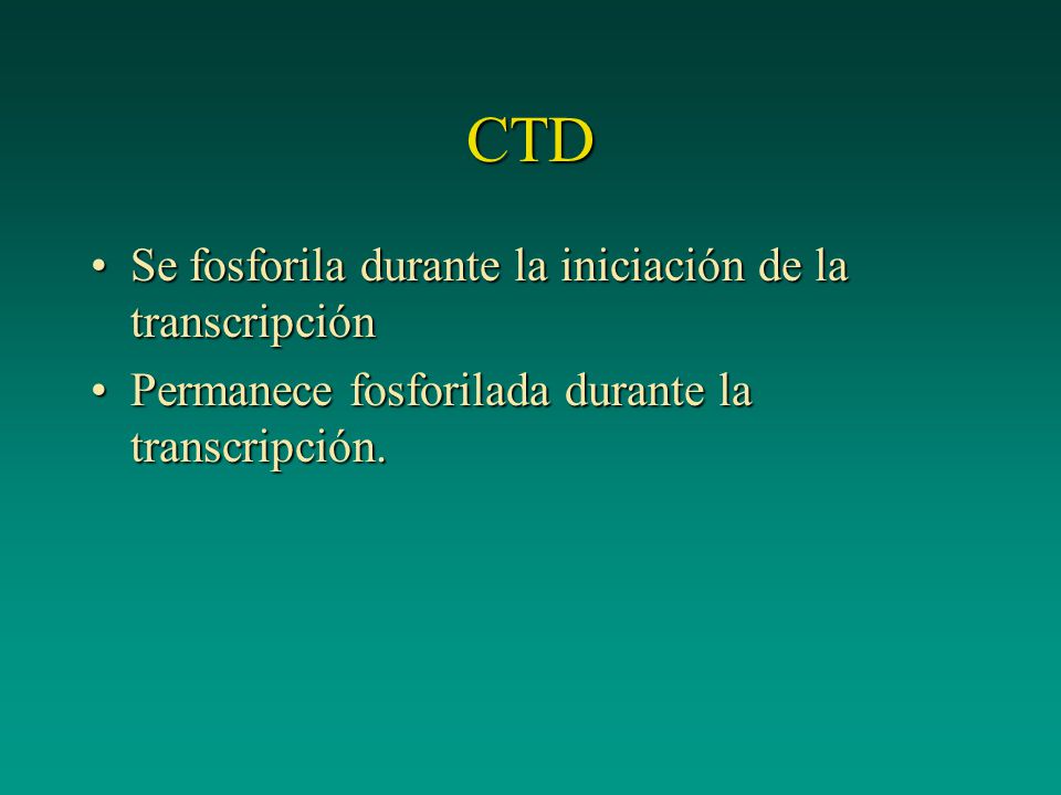 CTD Se fosforila durante la iniciación de la transcripción