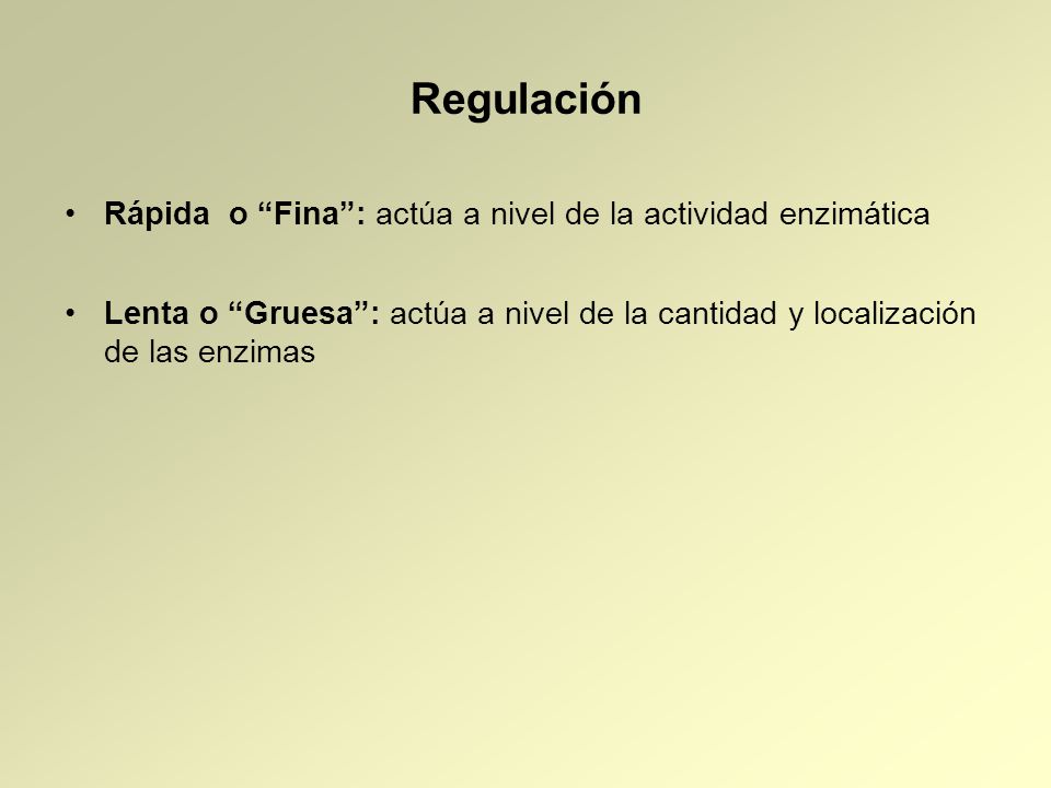 Regulación Rápida o Fina : actúa a nivel de la actividad enzimática