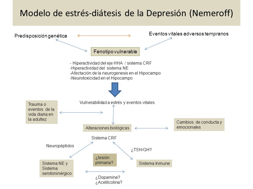 Homeostasis y regulación - ppt descargar