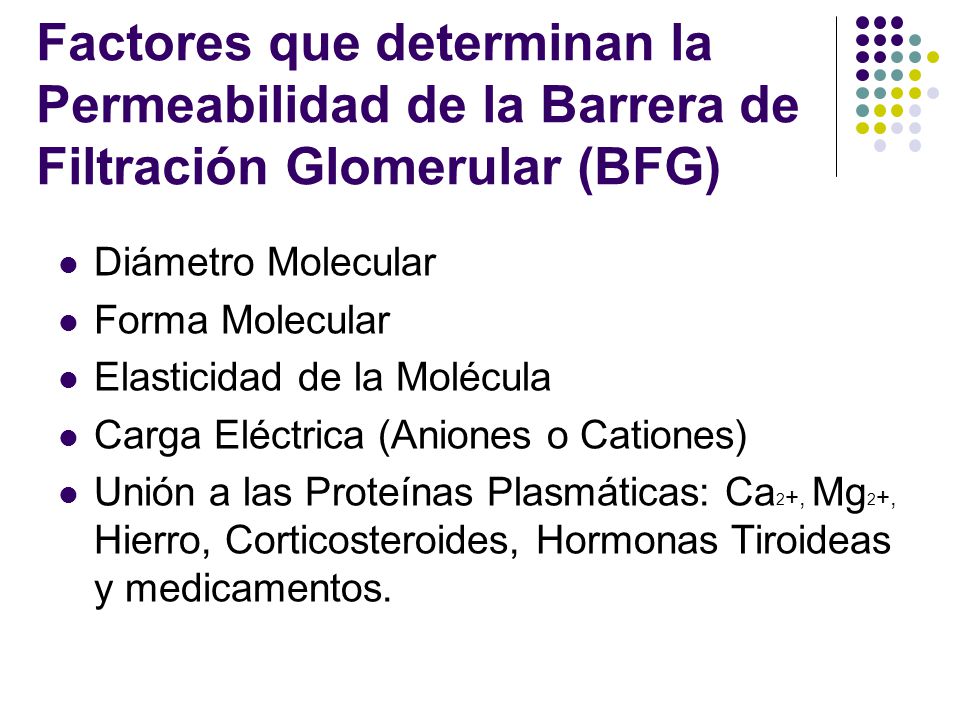 Factores que determinan la Permeabilidad de la Barrera de Filtración Glomerular (BFG)