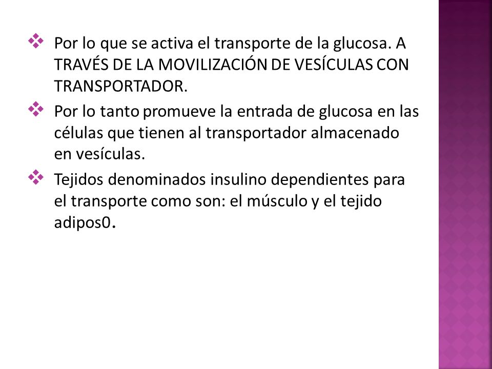 Por lo que se activa el transporte de la glucosa