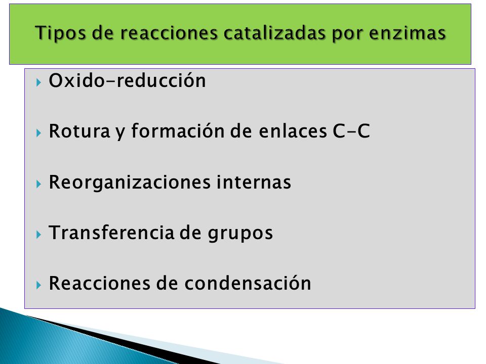 Tipos de reacciones catalizadas por enzimas