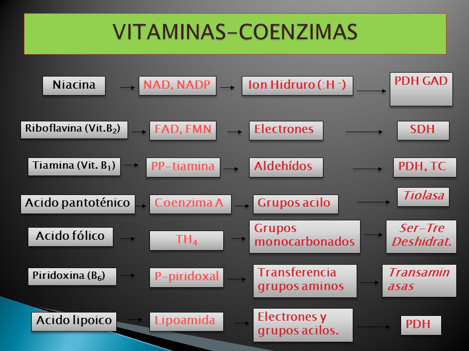 VITAMINAS-COENZIMAS Niacina NAD, NADP Ion Hidruro (:H -) PDH GAD