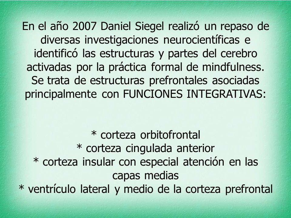 En el año 2007 Daniel Siegel realizó un repaso de diversas investigaciones neurocientíficas e identificó las estructuras y partes del cerebro activadas por la práctica formal de mindfulness.