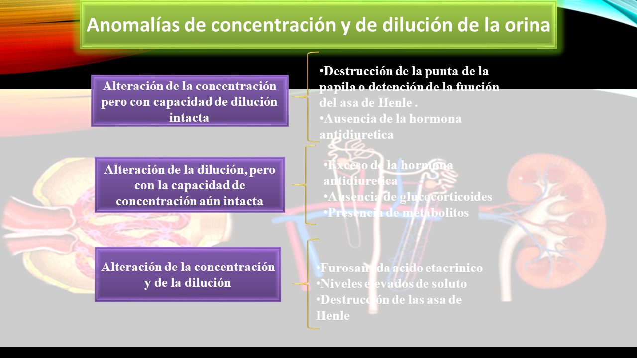 Anomalías de concentración y de dilución de la orina