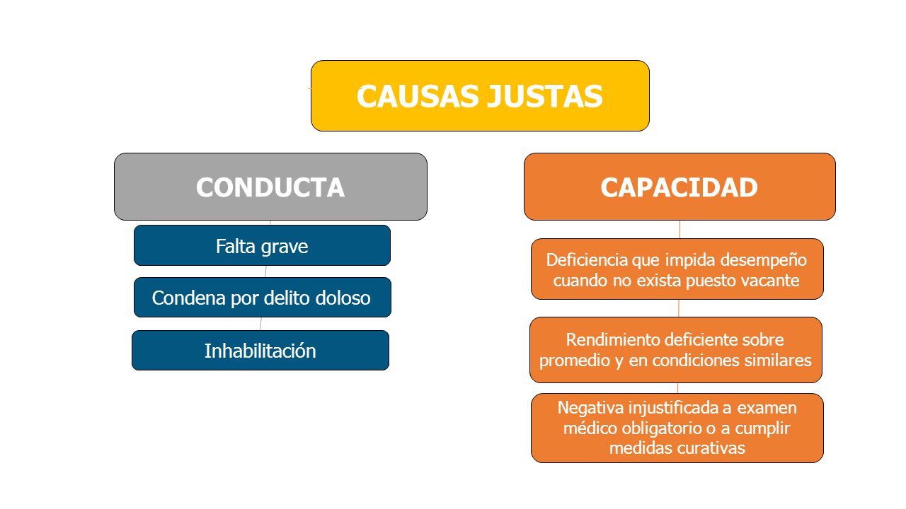 CAUSAS JUSTAS CONDUCTA CAPACIDAD Falta grave Condena por delito doloso