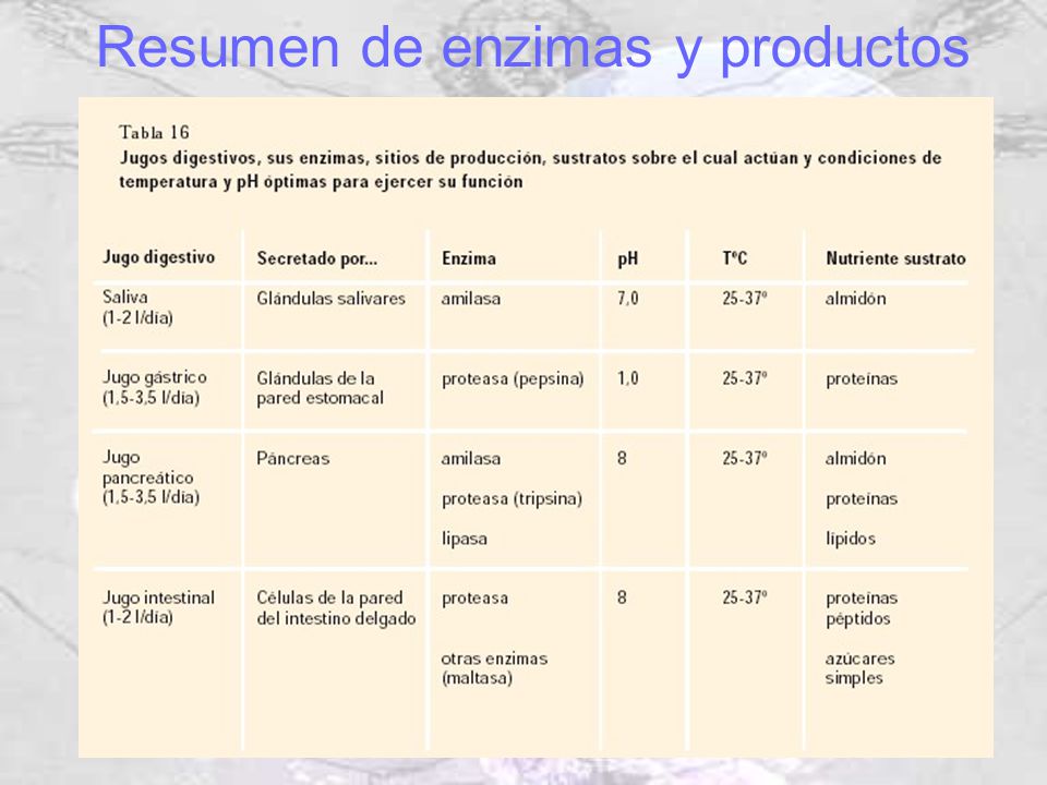 Resumen de enzimas y productos