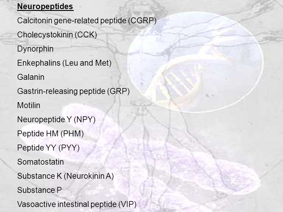 Neuropeptides Calcitonin gene-related peptide (CGRP) Cholecystokinin (CCK) Dynorphin. Enkephalins (Leu and Met)