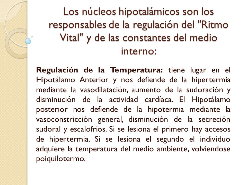 Los núcleos hipotalámicos son los responsables de la regulación del Ritmo Vital y de las constantes del medio interno:
