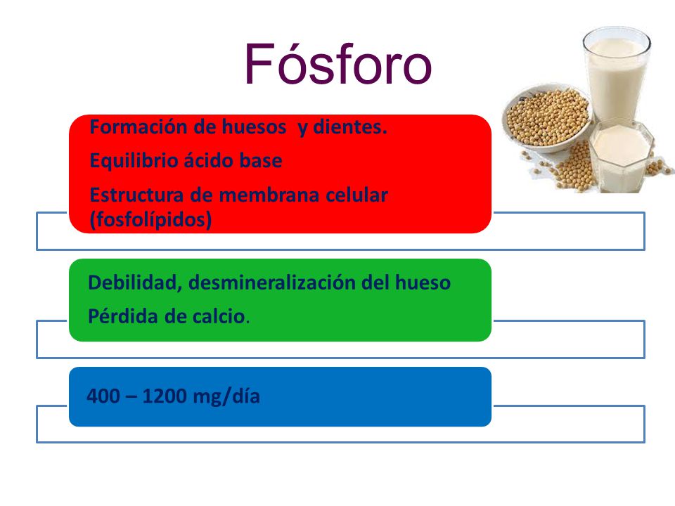 Fósforo Formación de huesos y dientes. Equilibrio ácido base