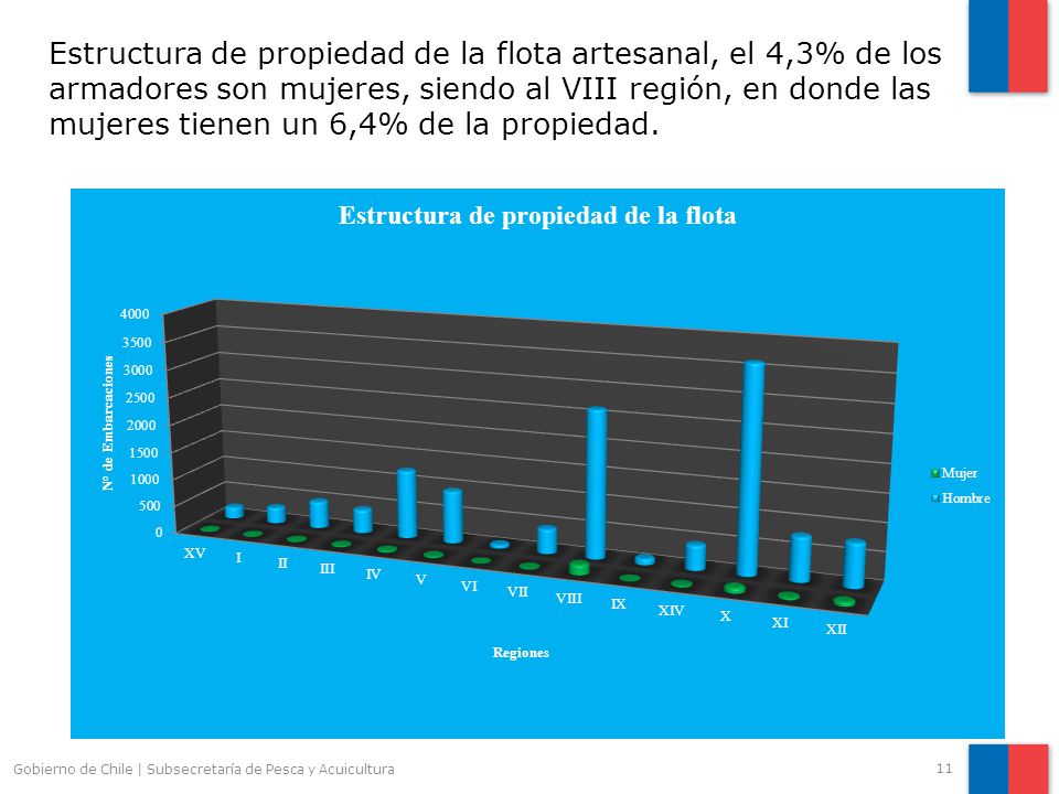 Estructura de propiedad de la flota artesanal, el 4,3% de los armadores son mujeres, siendo al VIII región, en donde las mujeres tienen un 6,4% de la propiedad.