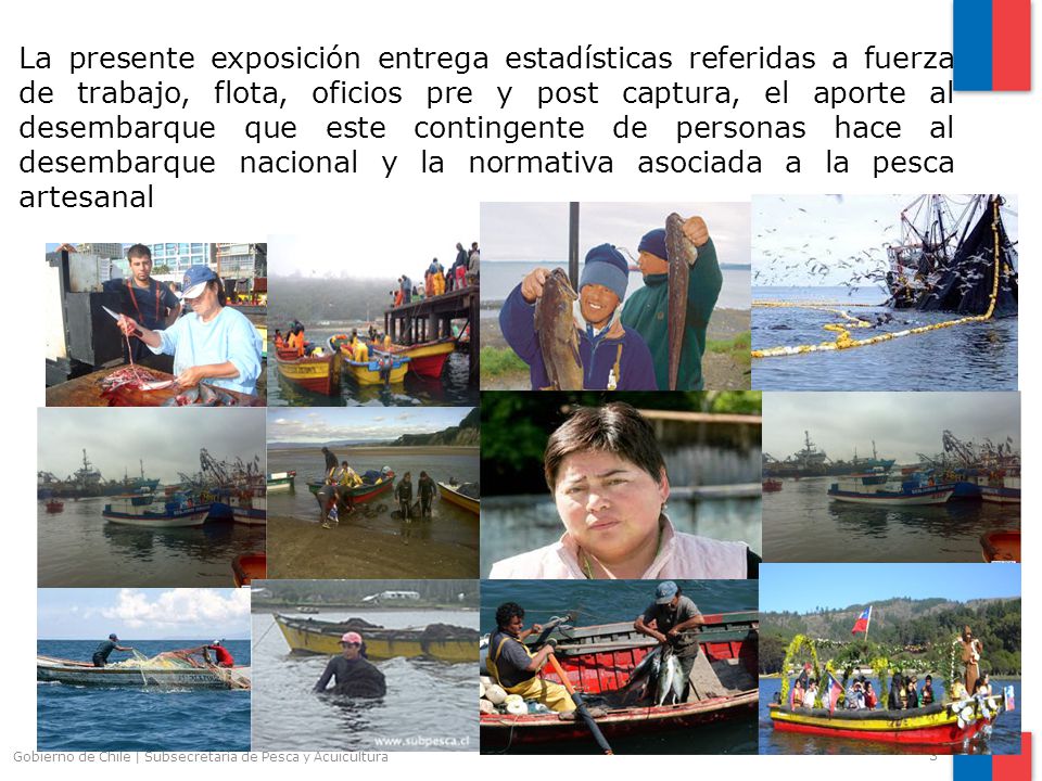 La presente exposición entrega estadísticas referidas a fuerza de trabajo, flota, oficios pre y post captura, el aporte al desembarque que este contingente de personas hace al desembarque nacional y la normativa asociada a la pesca artesanal