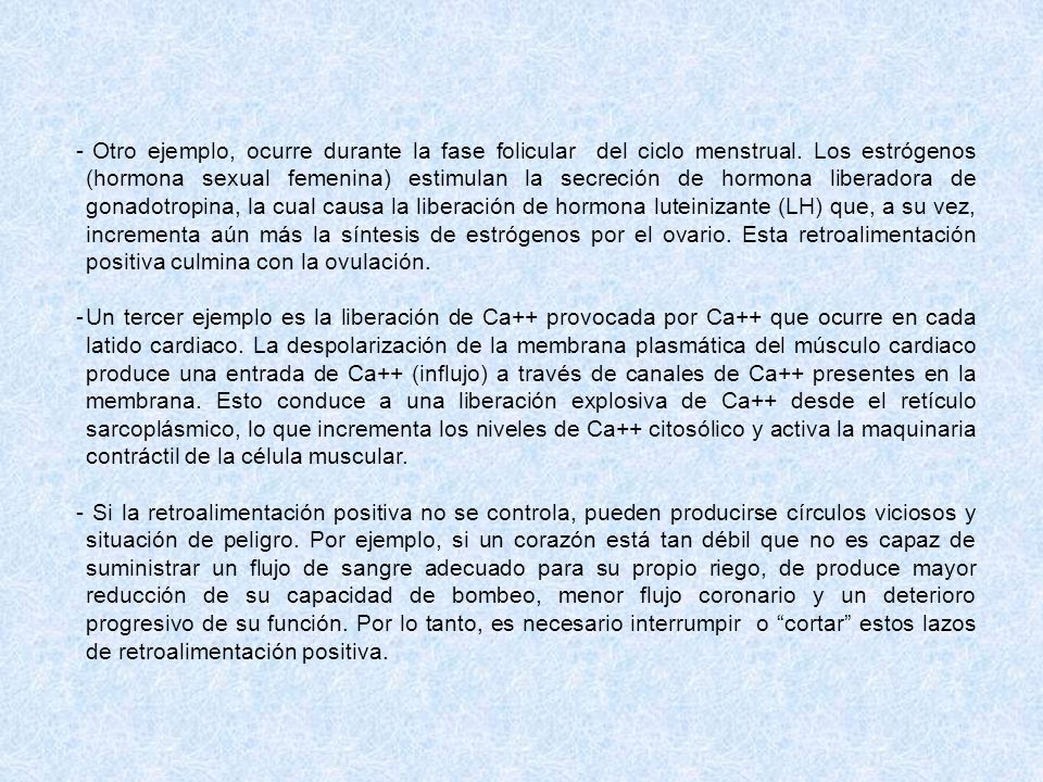 Otro ejemplo, ocurre durante la fase folicular del ciclo menstrual