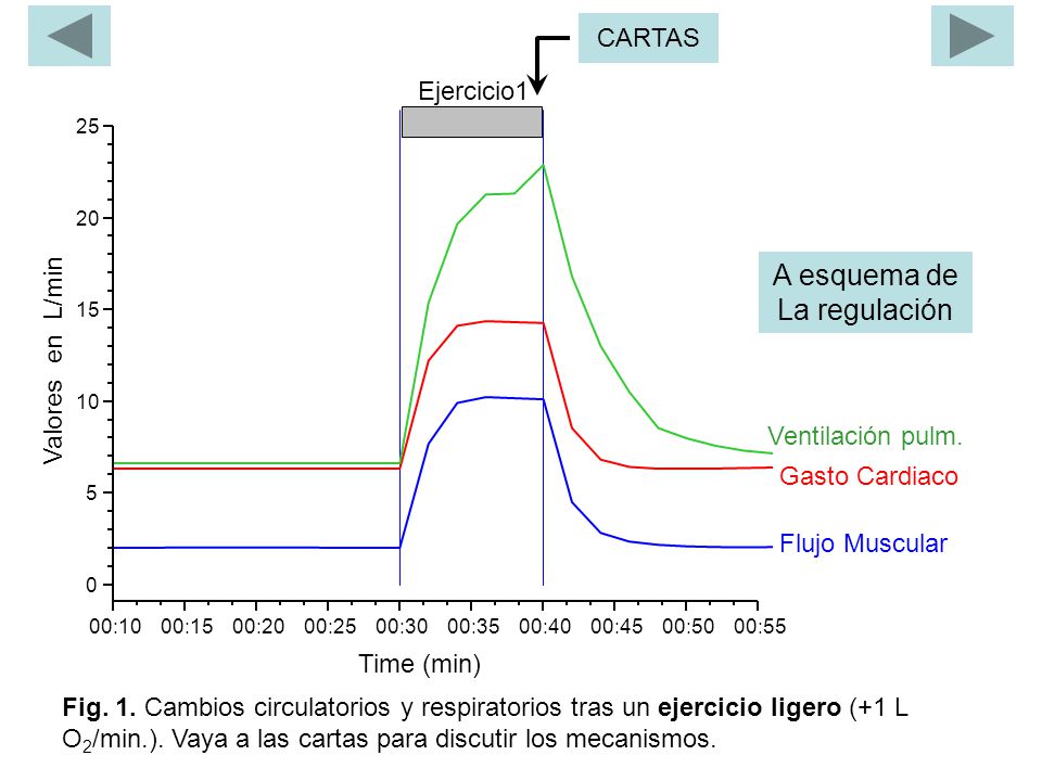 A esquema de La regulación CARTAS Ejercicio1 Valores en L/min