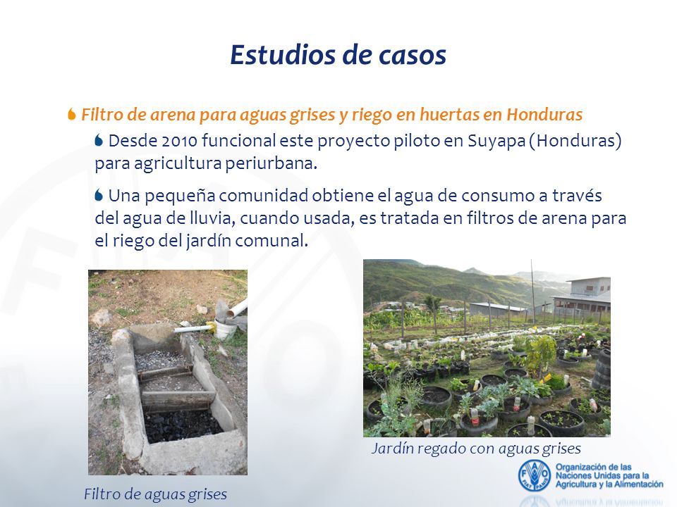 Estudios de casos Filtro de arena para aguas grises y riego en huertas en Honduras.
