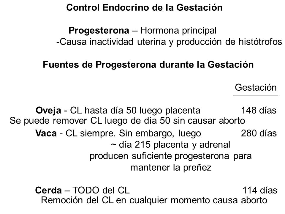 Control Endocrino de la Gestación Progesterona – Hormona principal