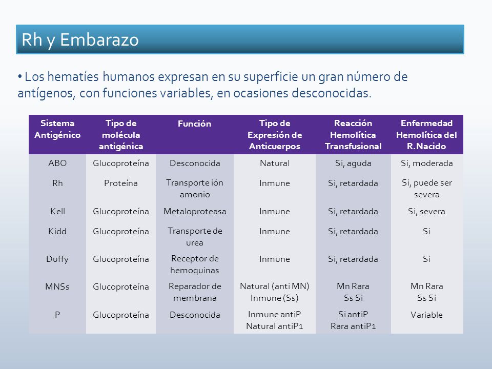 Rh y Embarazo Los hematíes humanos expresan en su superficie un gran número de antígenos, con funciones variables, en ocasiones desconocidas.