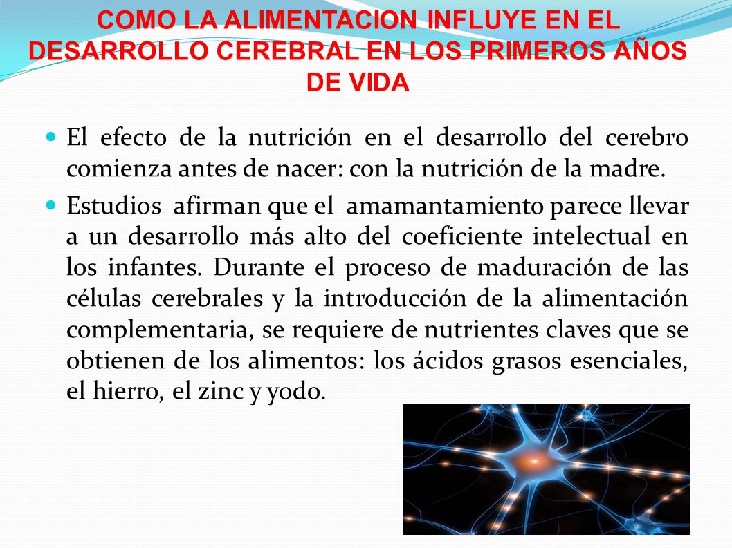COMO LA ALIMENTACION INFLUYE EN EL DESARROLLO CEREBRAL EN LOS PRIMEROS AÑOS DE VIDA