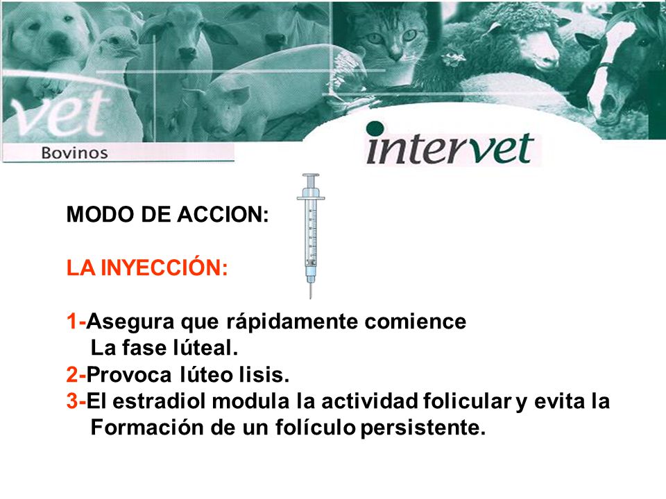 MODO DE ACCION: LA INYECCIÓN: 1-Asegura que rápidamente comience. La fase lúteal. 2-Provoca lúteo lisis.