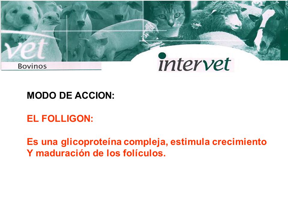 MODO DE ACCION: EL FOLLIGON: Es una glicoproteína compleja, estimula crecimiento.
