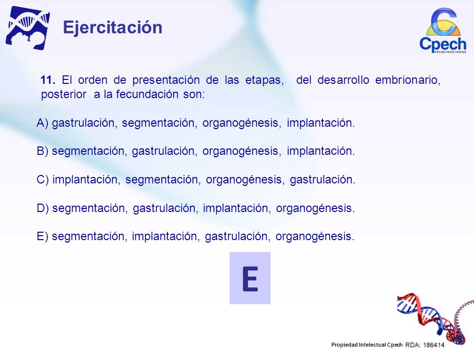Ejercitación 11. El orden de presentación de las etapas, del desarrollo embrionario, posterior a la fecundación son: