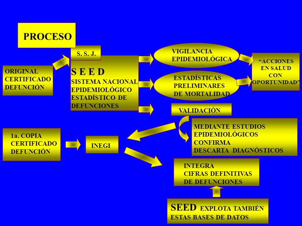 PROCESO S E E D SEED EXPLOTA TAMBIÉN VIGILANCIA S. S. J.