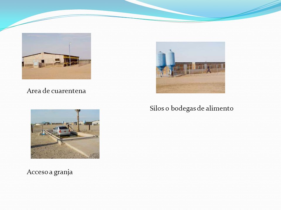 Area de cuarentena Silos o bodegas de alimento Acceso a granja
