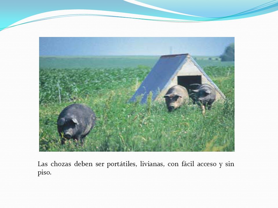 Las chozas deben ser portátiles, livianas, con fácil acceso y sin piso.